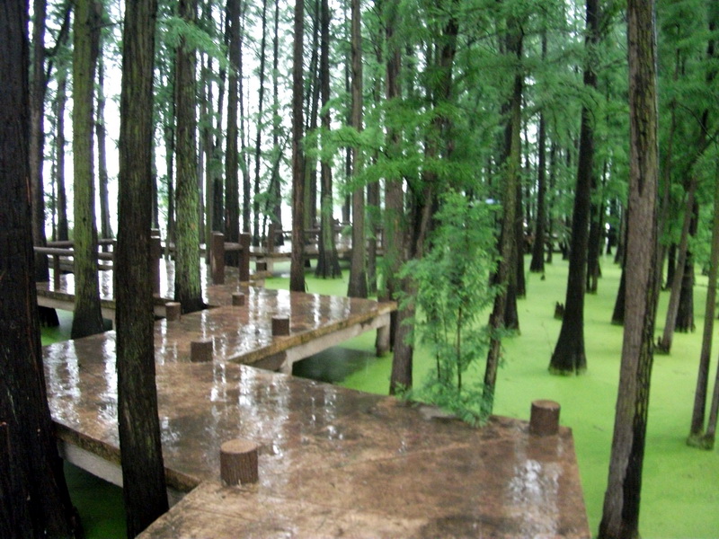 dscf1065.jpg