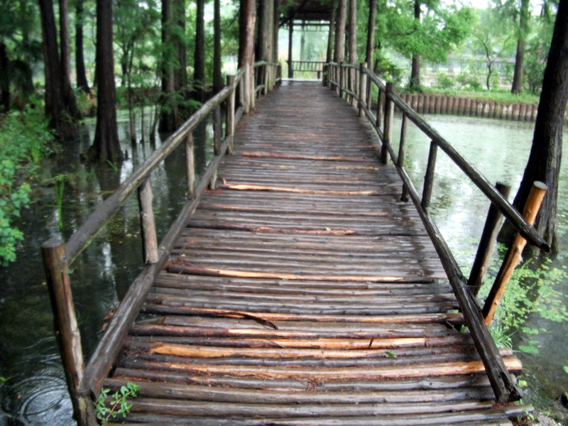 dscf1069.jpg