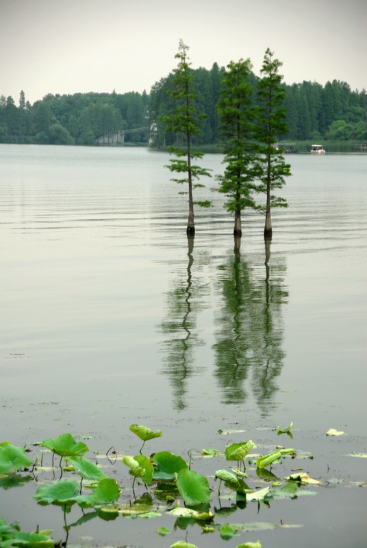 dsc_0133.jpg