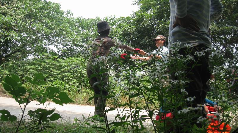 С Ƭ 079.jpg