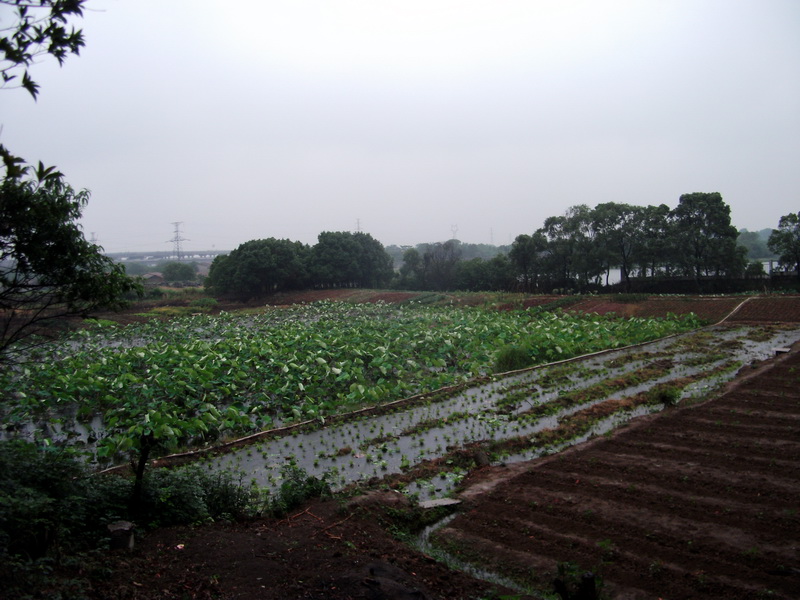 dscf1089.jpg