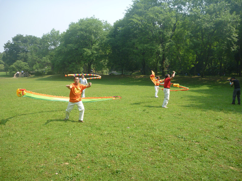 p1060667_.jpg