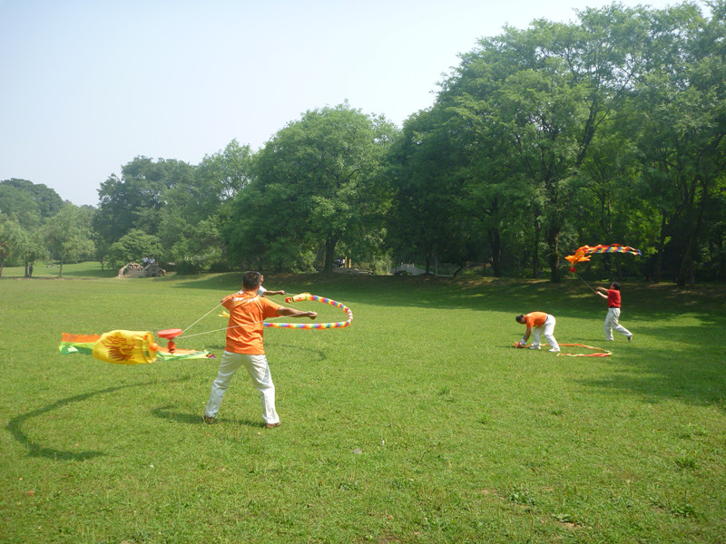 p1060665_.jpg