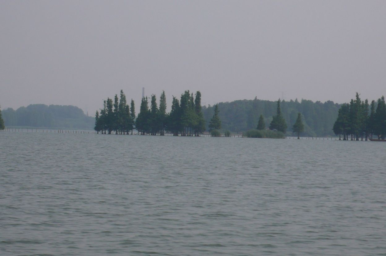 l1100499.jpg