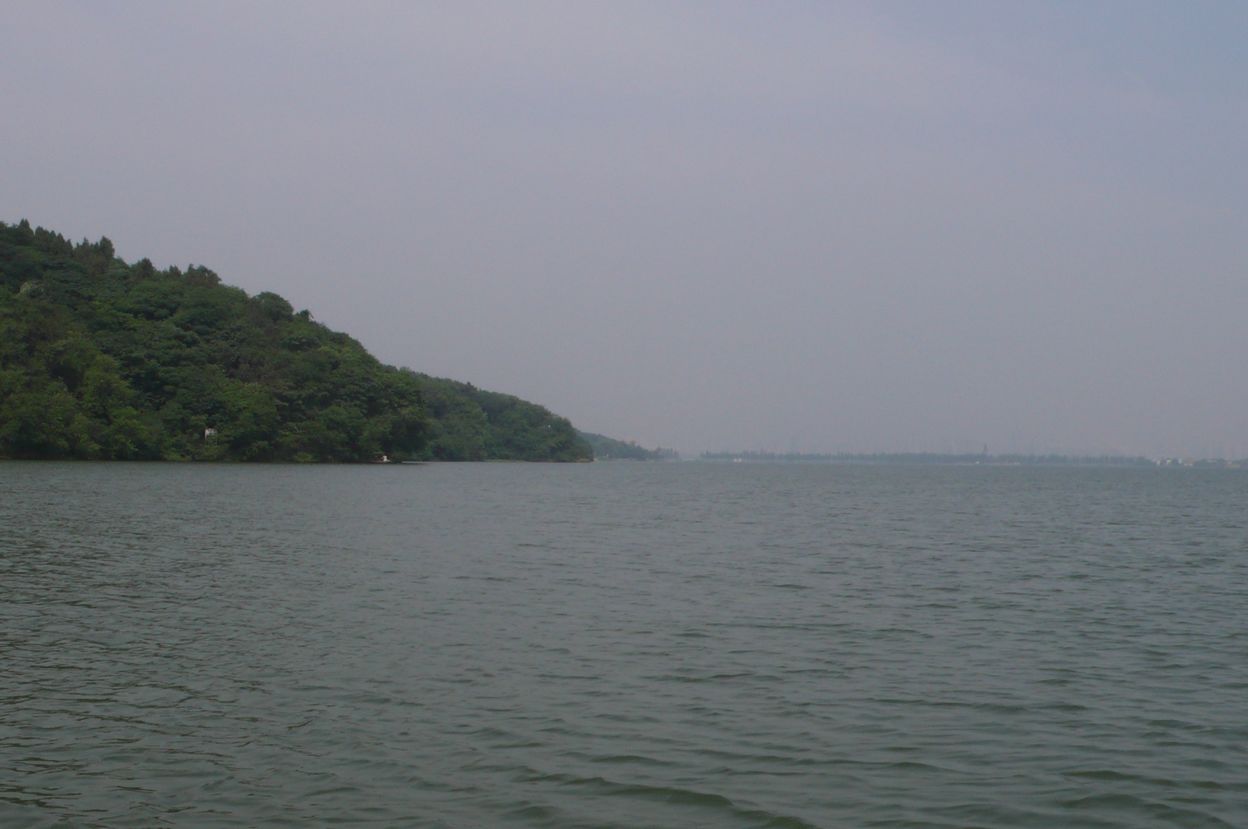 l1100500.jpg