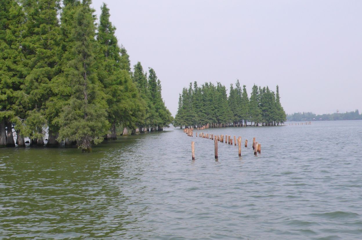 l1100513.jpg