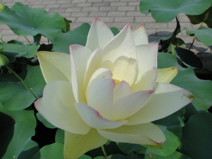 dsc00302.jpg