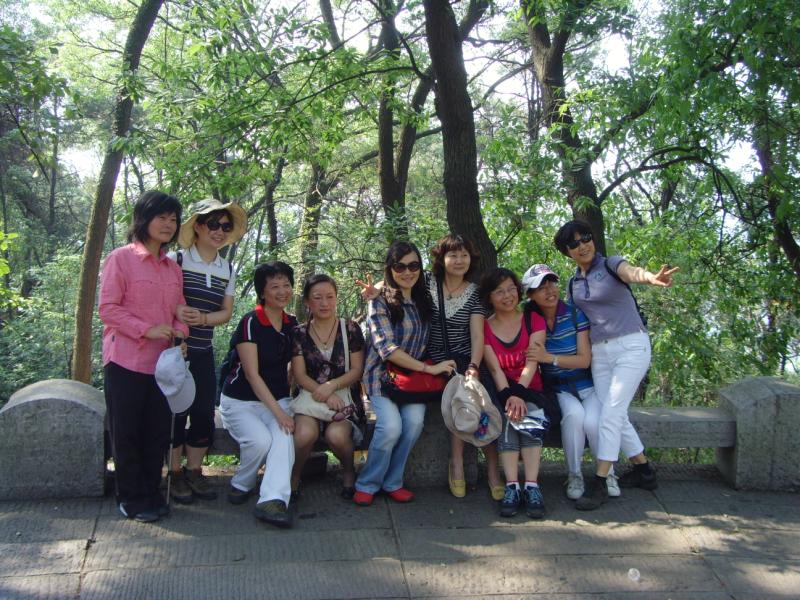 snv30034.jpg
