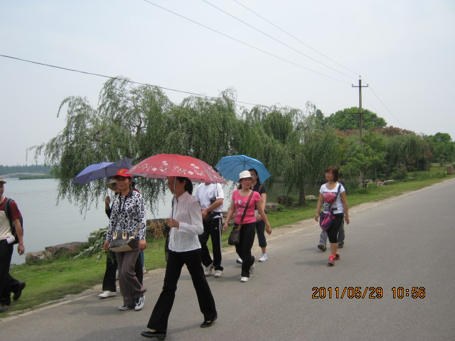 img_2991.jpg