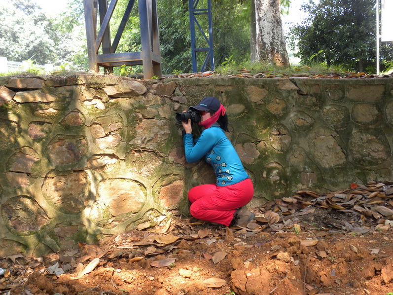 Ƭ 056.jpg