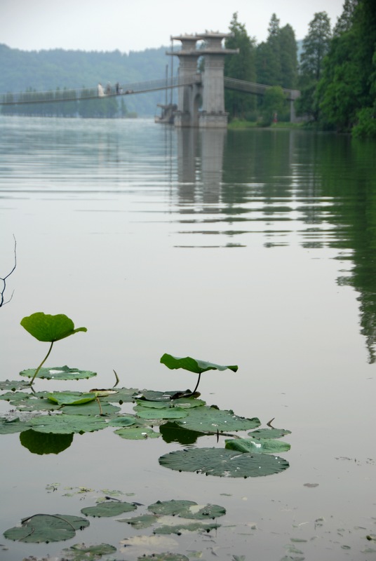 dsc_0090.jpg