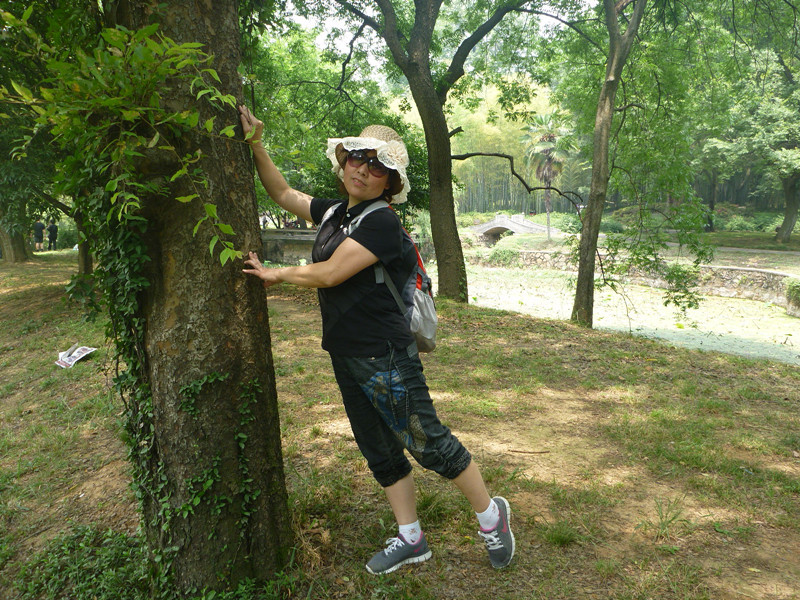 p1060768_.jpg