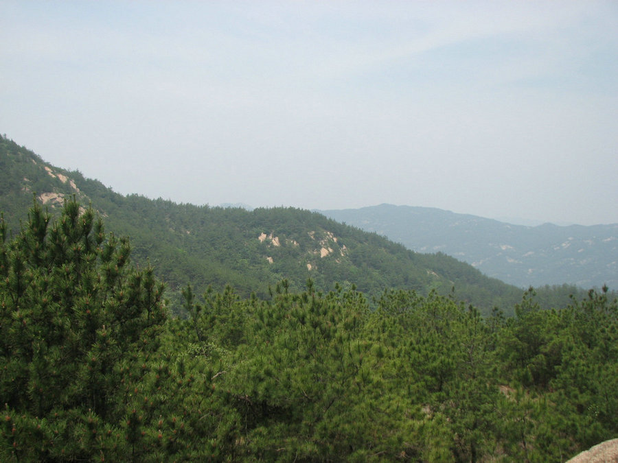  195.jpg