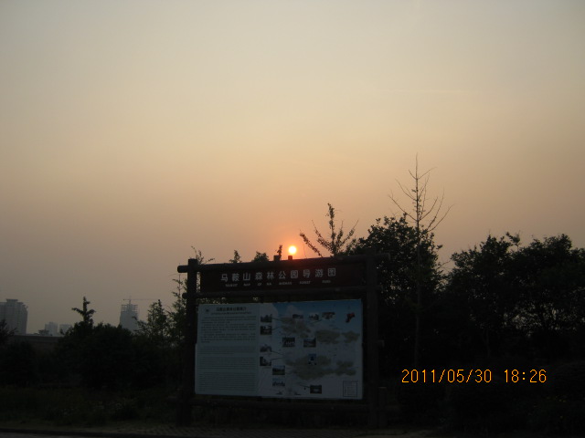 img_3012.jpg