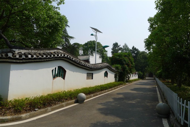 δ144.jpg