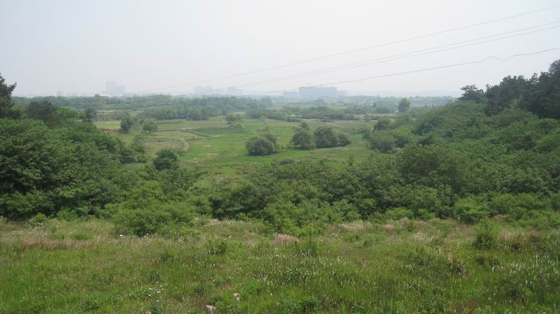 С Ƭ 094.jpg