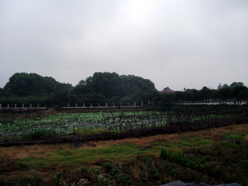 dscf1091.jpg