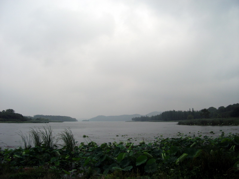 dscf1092.jpg