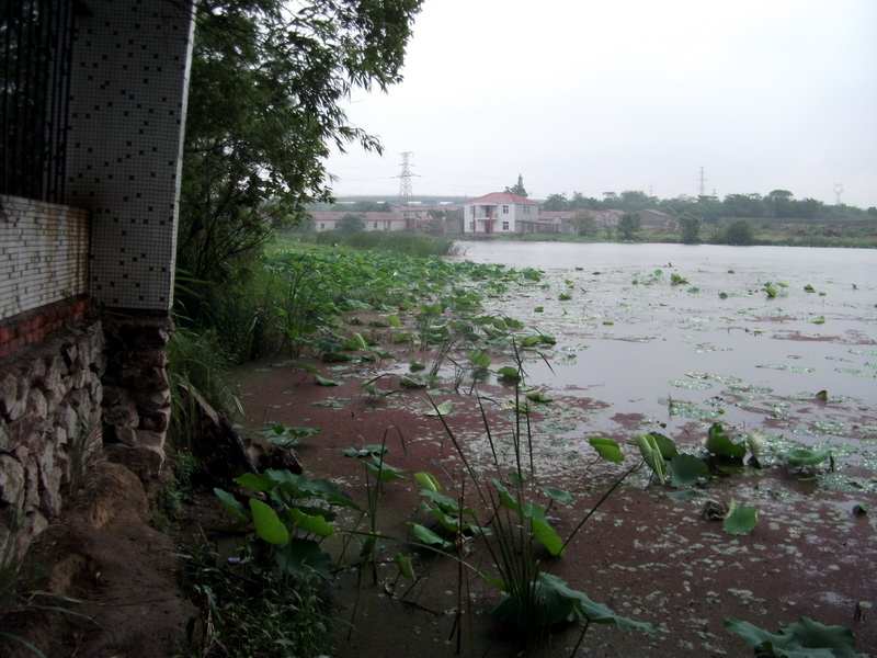 dscf1093.jpg