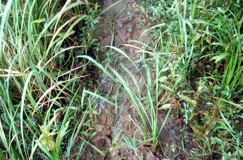 dscf1094.jpg