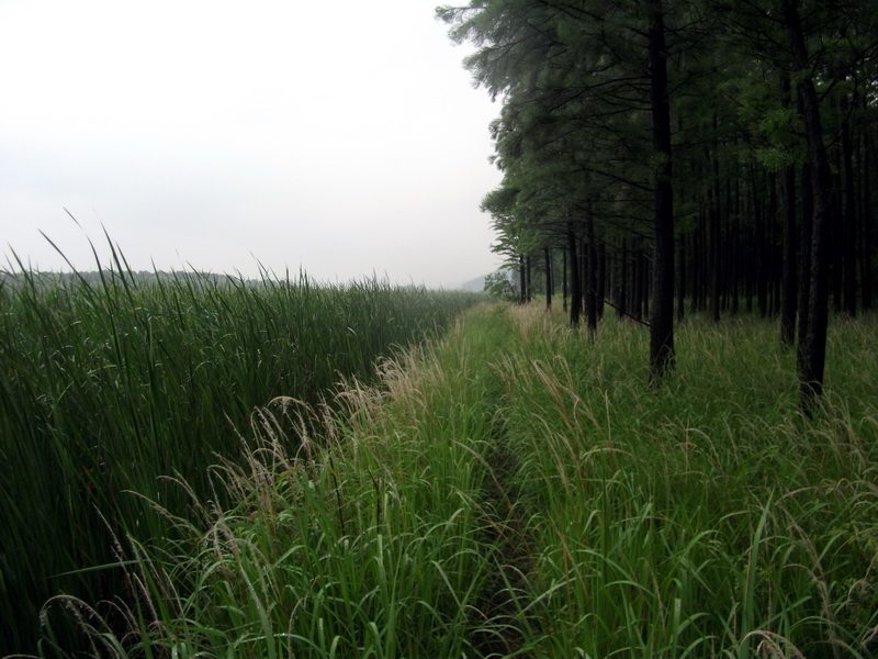 dscf1096.jpg