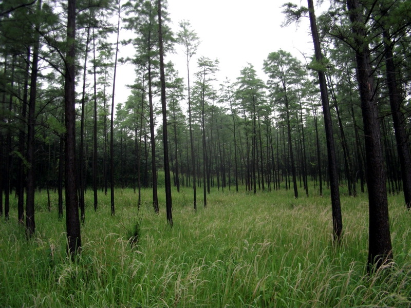 dscf1097.jpg