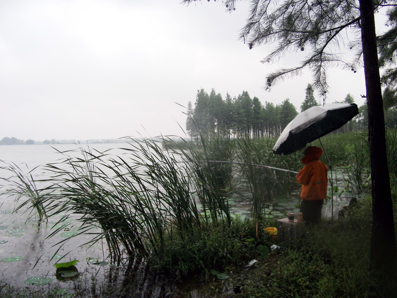 dscf1099.jpg