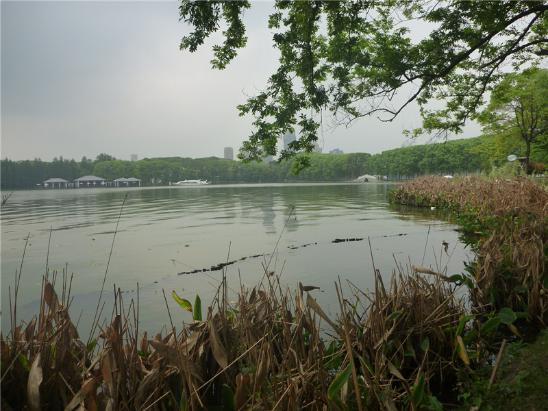 p1050839_.jpg