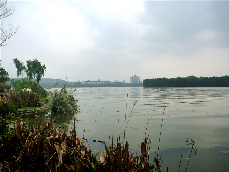 p1050840_.jpg