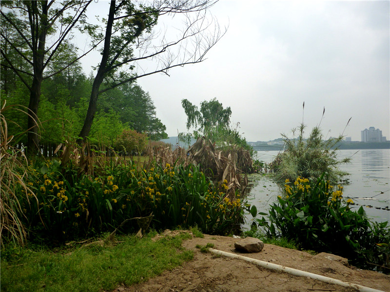 p1050841_.jpg