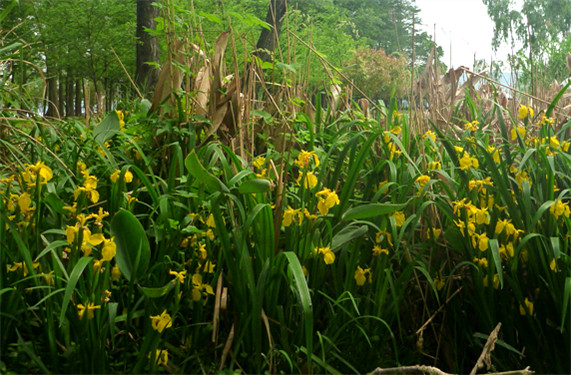 p1050842_.jpg