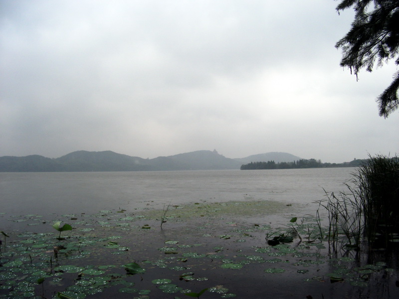 dscf1101.jpg