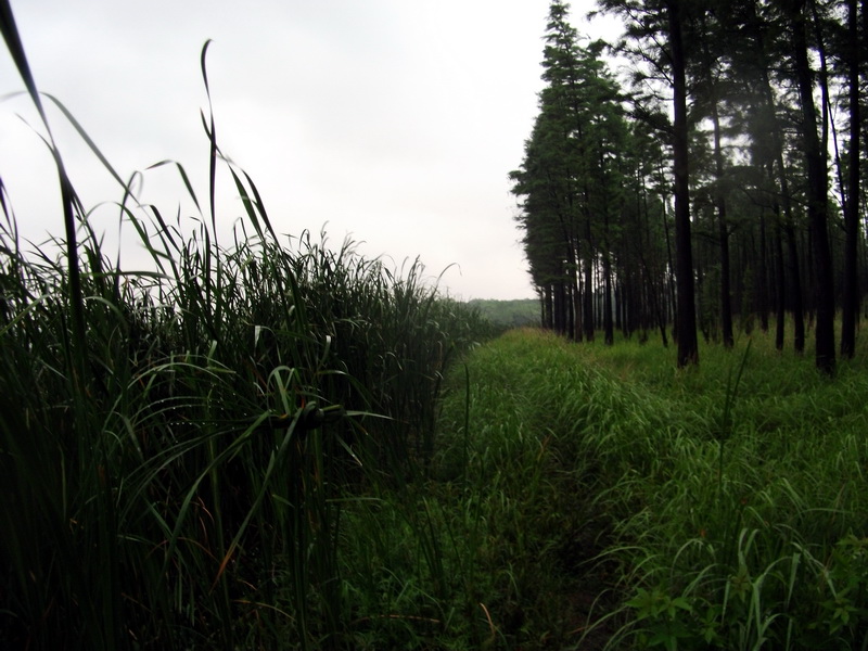 dscf1102.jpg