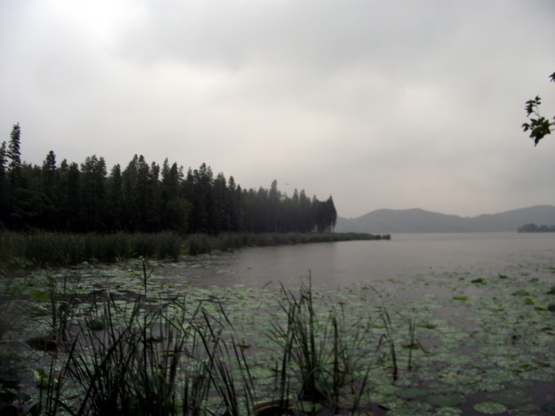 dscf1105.jpg