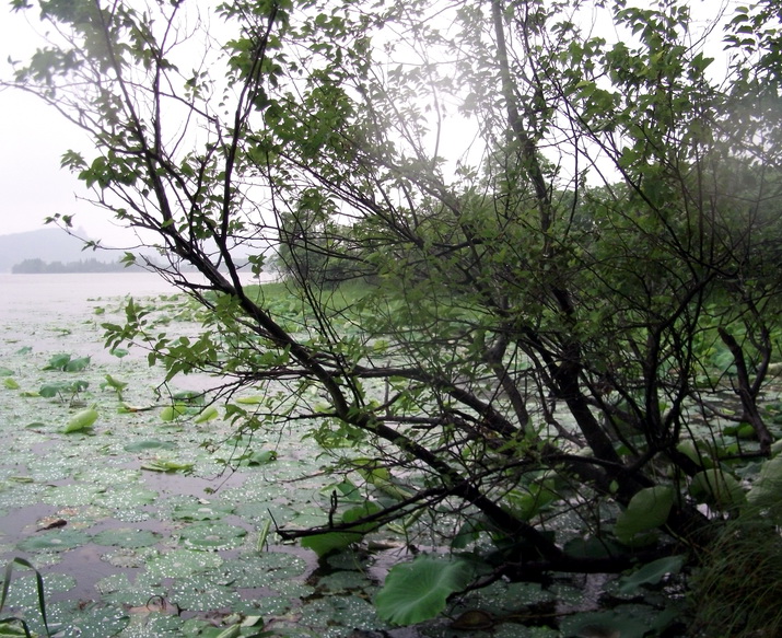 dscf1106.jpg