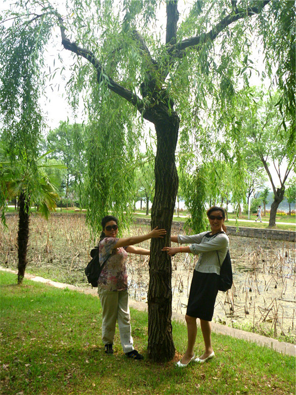 p1050834__.jpg