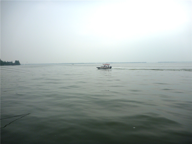 p1050863_.jpg