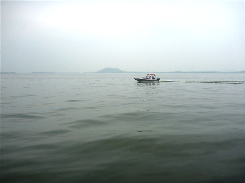 p1050862_.jpg