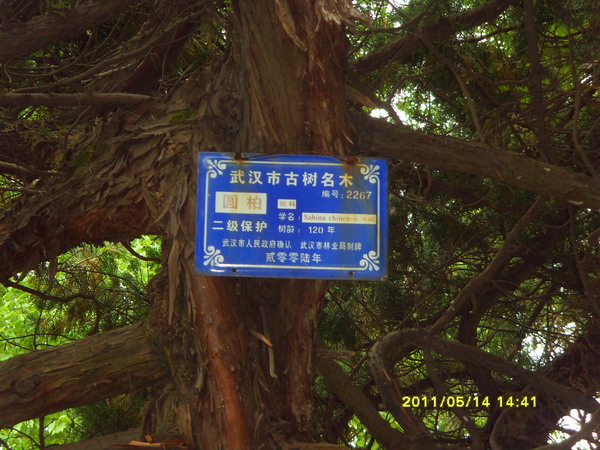 sdc16935.jpg