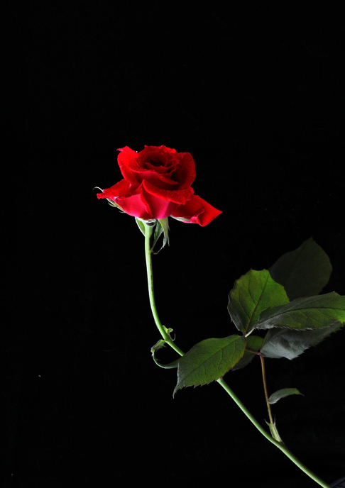 dsc_3639.jpg