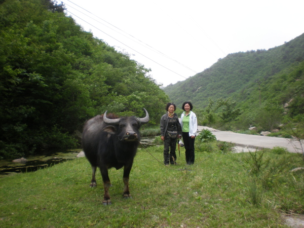 20110502_101004_25.jpg