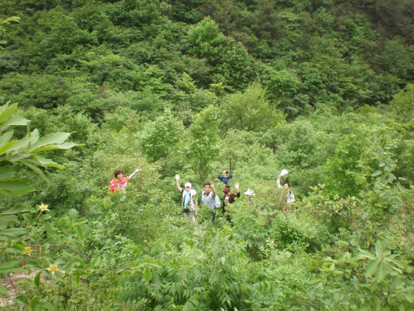 20110502_103805_35.jpg