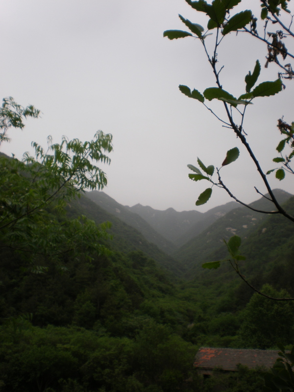 20110502_104632_39.jpg