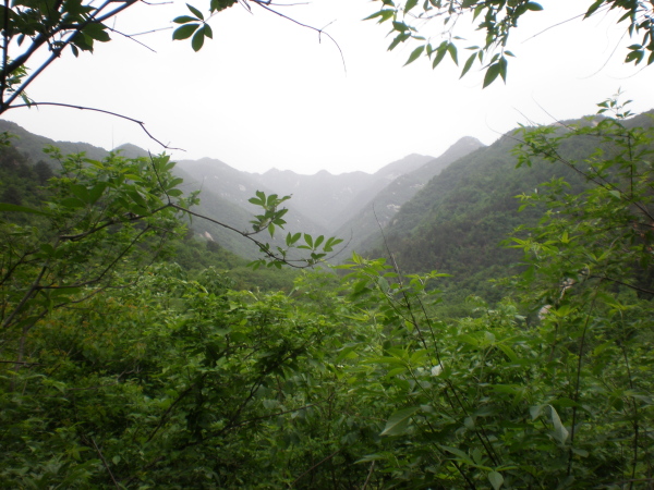 20110502_105405_44.jpg