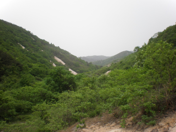 20110502_110122_49.jpg