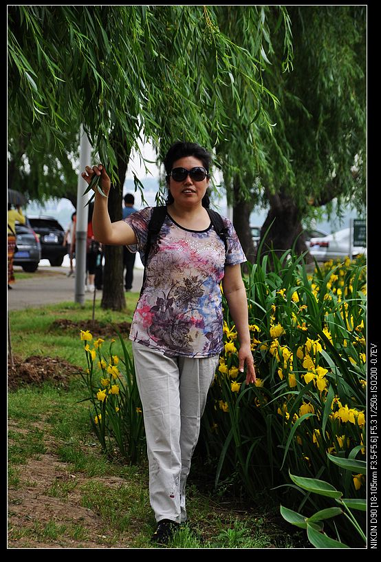 dsc_0246.jpg