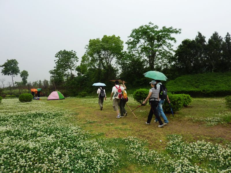 p1160418.jpg