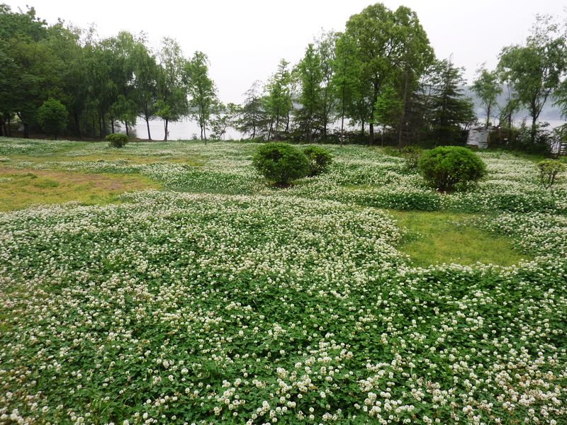 p1160424.jpg
