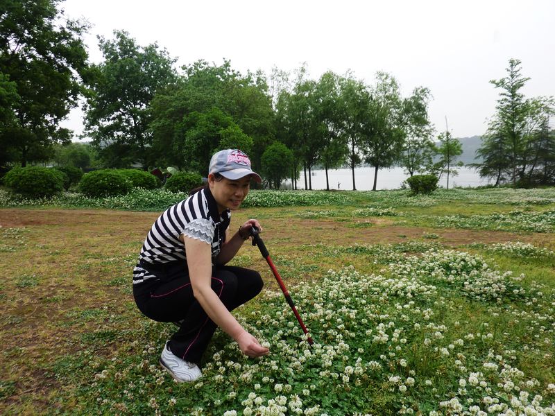 p1160426.jpg