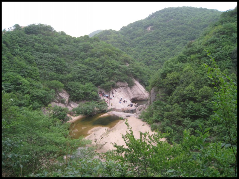 conew_img_6323.jpg